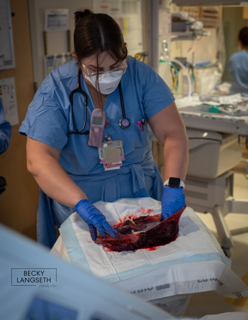 A nurse at UW Medical Center - Montlake, in Seattle, WA is examining a placenta and about to give the new parents a placenta tour.